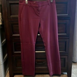 Express Columnist Pants